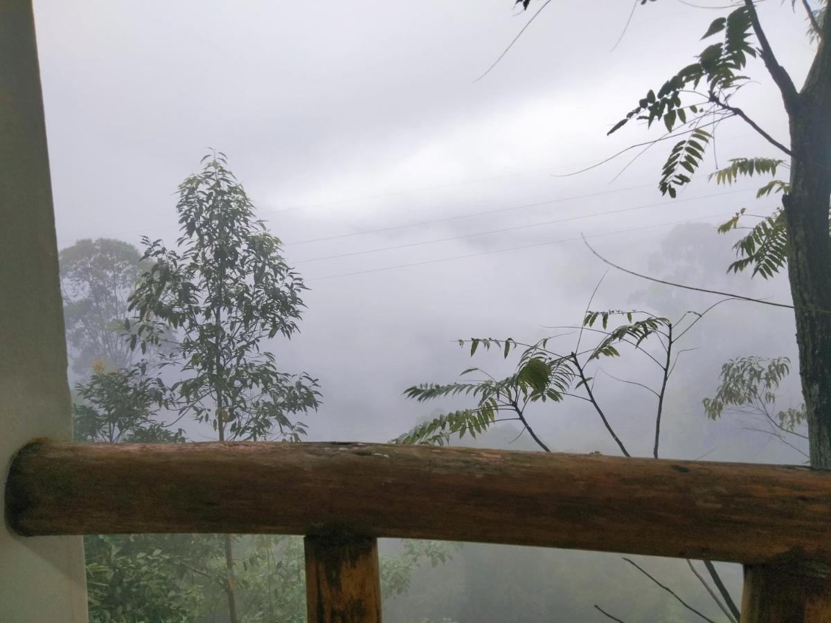 Nature Casa Bella Ruang foto