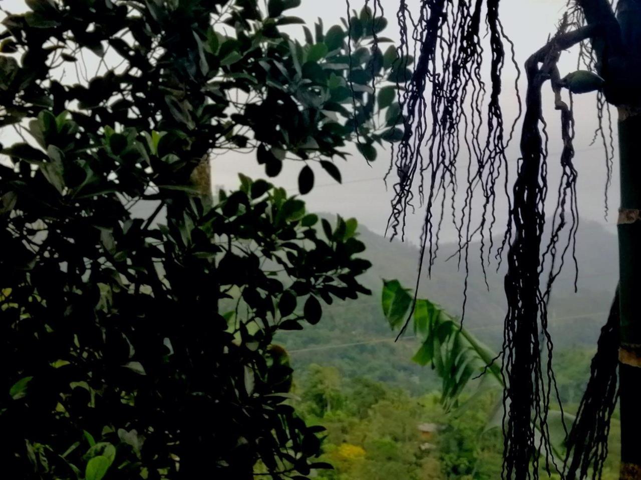 Nature Casa Bella Bagian luar foto