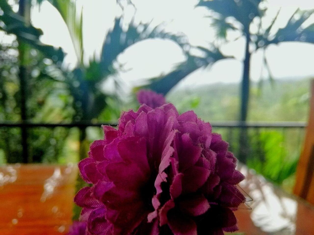 Nature Casa Bella Bagian luar foto