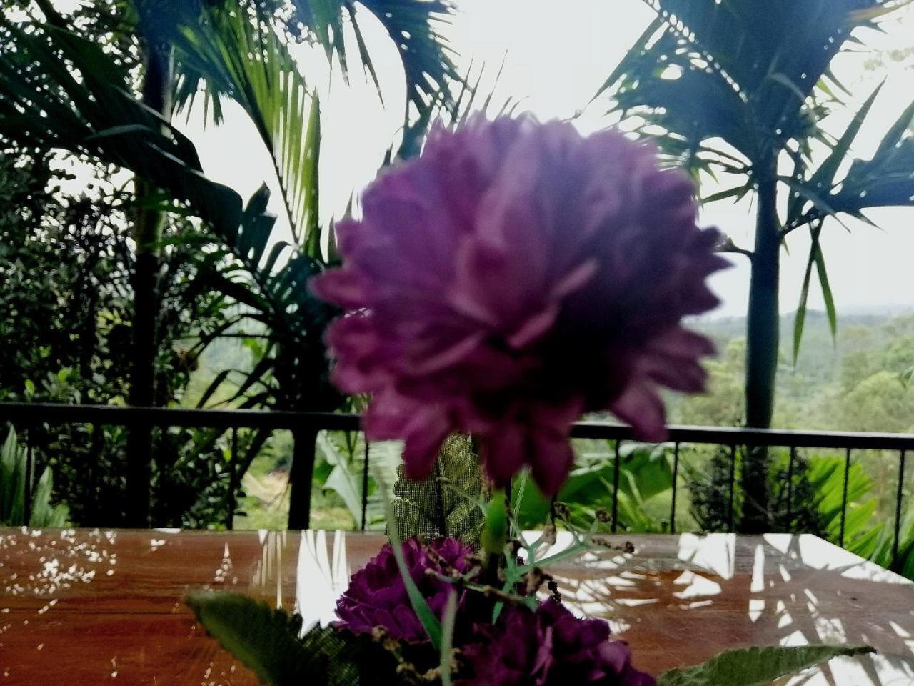 Nature Casa Bella Bagian luar foto